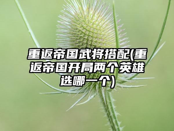 重返帝国武将搭配(重返帝国开局两个英雄选哪一个)