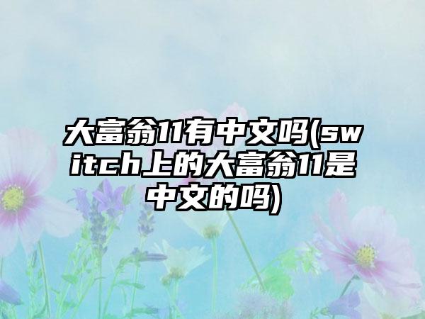 大富翁11有中文吗(switch上的大富翁11是中文的吗)