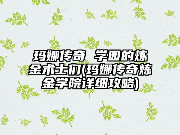 玛娜传奇 学园的炼金术士们(玛娜传奇炼金学院详细攻略)