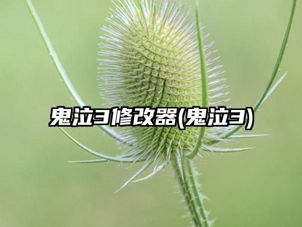 鬼泣3修改器(鬼泣3)