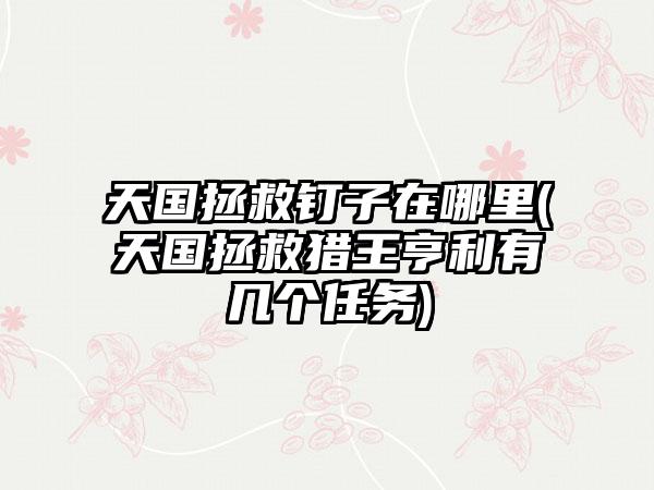 天国拯救钉子在哪里(天国拯救猎王亨利有几个任务)