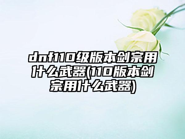 dnf110级版本剑宗用什么武器(110版本剑宗用什么武器)