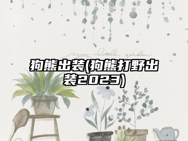狗熊出装(狗熊打野出装2023)