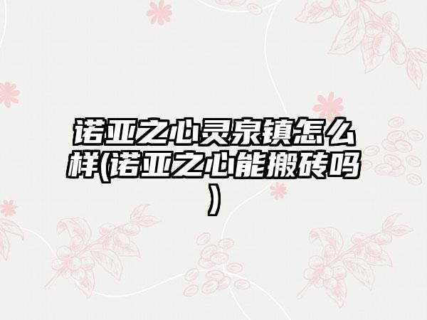 诺亚之心灵泉镇怎么样(诺亚之心能搬砖吗)