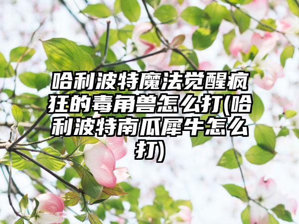 哈利波特魔法觉醒疯狂的毒角兽怎么打(哈利波特南瓜犀牛怎么打)