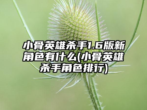 小骨英雄杀手1.6版新角色有什么(小骨英雄杀手角色排行)
