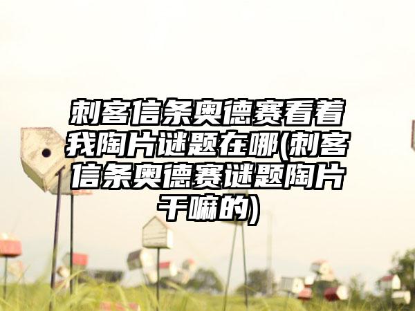 刺客信条奥德赛看着我陶片谜题在哪(刺客信条奥德赛谜题陶片干嘛的)