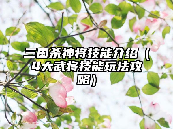 三国杀神将技能介绍（4大武将技能玩法攻略）