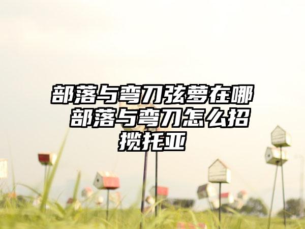 部落与弯刀弦萝在哪 部落与弯刀怎么招揽托亚