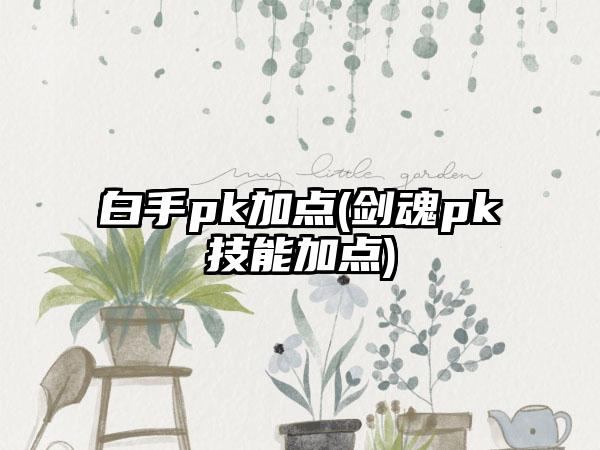 白手pk加点(剑魂pk技能加点)