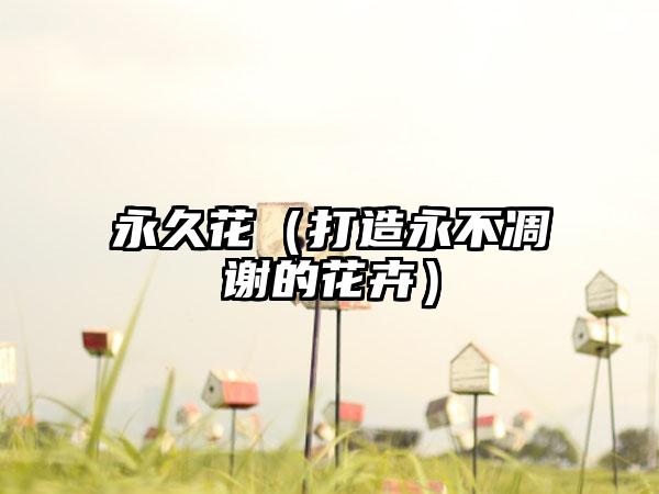 永久花（打造永不凋谢的花卉）