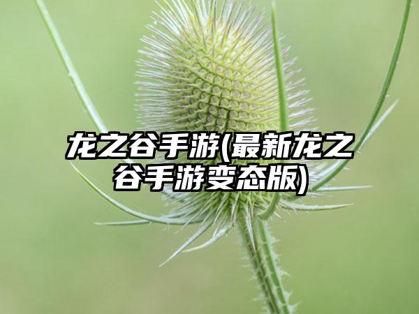 龙之谷手游(最新龙之谷手游变态版)
