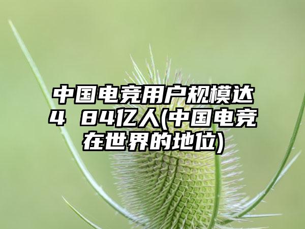 中国电竞用户规模达4 84亿人(中国电竞在世界的地位)