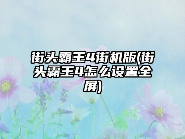 街头霸王4街机版(街头霸王4怎么设置全屏)