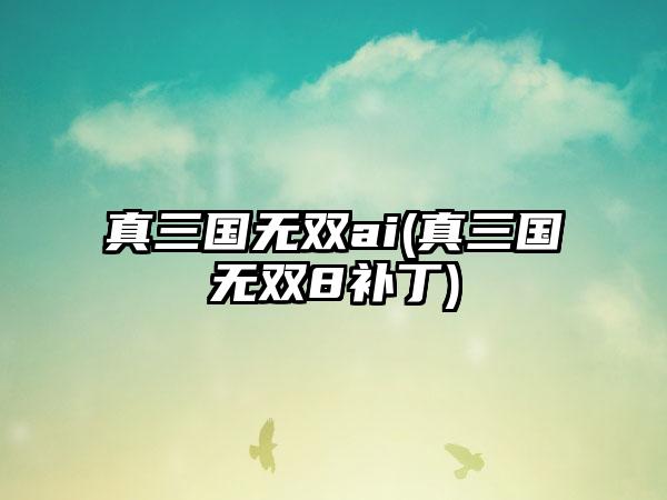 真三国无双ai(真三国无双8补丁)