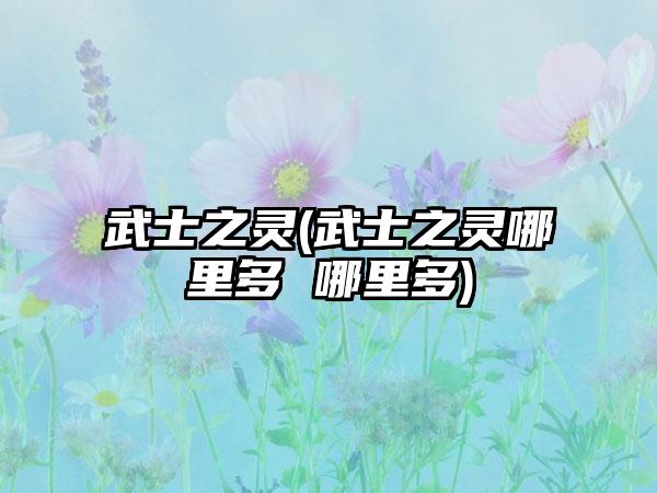 武士之灵(武士之灵哪里多 哪里多)