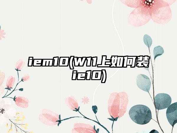 iem10(W11上如何装ie10)