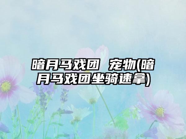 暗月马戏团 宠物(暗月马戏团坐骑速拿)