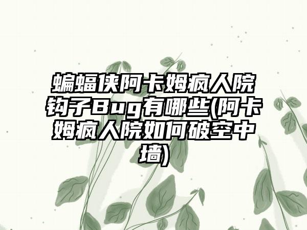 蝙蝠侠阿卡姆疯人院钩子Bug有哪些(阿卡姆疯人院如何破空中墙)