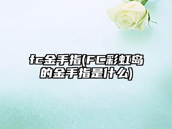 fc金手指(FC彩虹岛的金手指是什么)