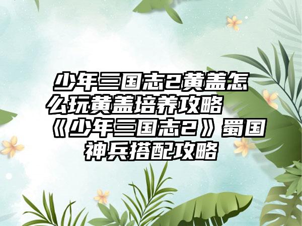 少年三国志2黄盖怎么玩黄盖培养攻略 《少年三国志2》蜀国神兵搭配攻略