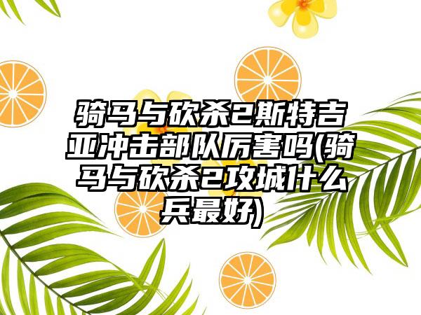 骑马与砍杀2斯特吉亚冲击部队厉害吗(骑马与砍杀2攻城什么兵最好)