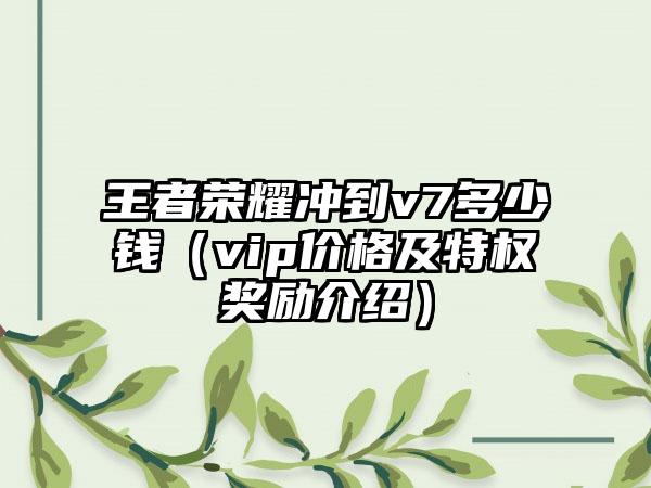 王者荣耀冲到v7多少钱（vip价格及特权奖励介绍）