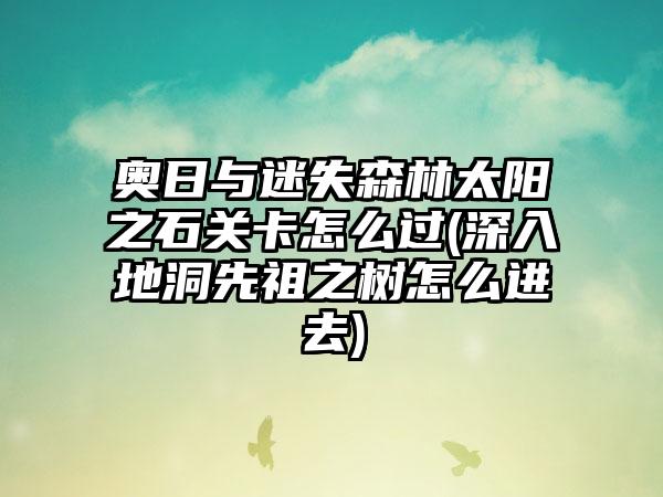 奥日与迷失森林太阳之石关卡怎么过(深入地洞先祖之树怎么进去)