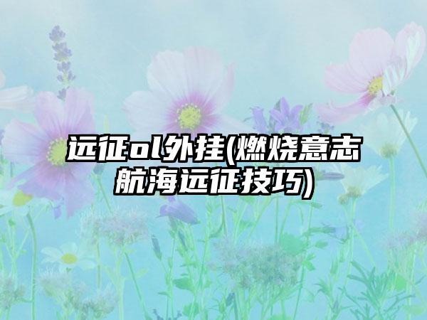 远征ol外挂(燃烧意志航海远征技巧)