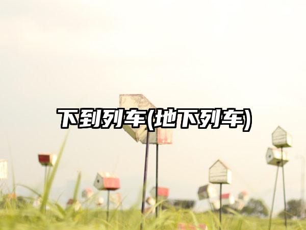 下到列车(地下列车)