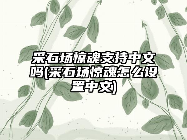 采石场惊魂支持中文吗(采石场惊魂怎么设置中文)