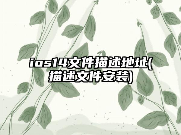 ios14文件描述地址(描述文件安装)
