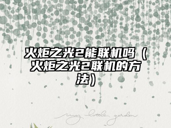 火炬之光2能联机吗（火炬之光2联机的方法）