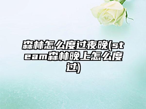 森林怎么度过夜晚(steam森林晚上怎么度过)