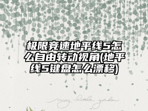 极限竞速地平线5怎么自由转动视角(地平线5键盘怎么漂移)