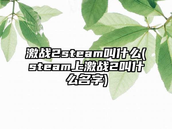 激战2steam叫什么(steam上激战2叫什么名字)