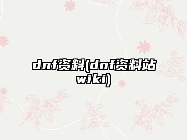 dnf资料(dnf资料站wiki)