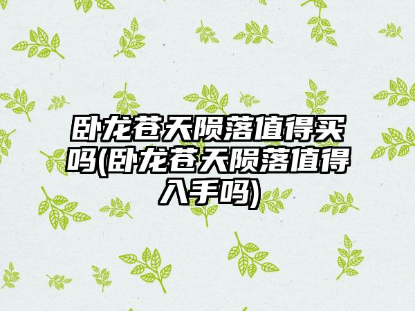 卧龙苍天陨落值得买吗(卧龙苍天陨落值得入手吗)