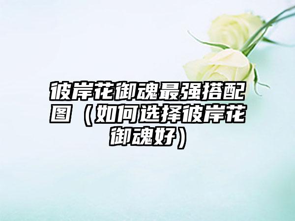 彼岸花御魂最强搭配图（如何选择彼岸花御魂好）