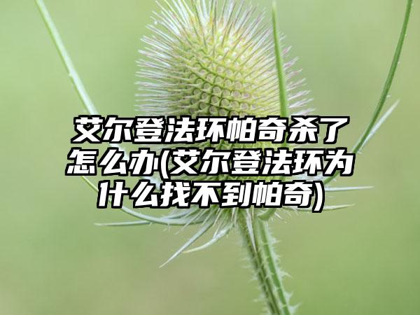 艾尔登法环帕奇杀了怎么办(艾尔登法环为什么找不到帕奇)
