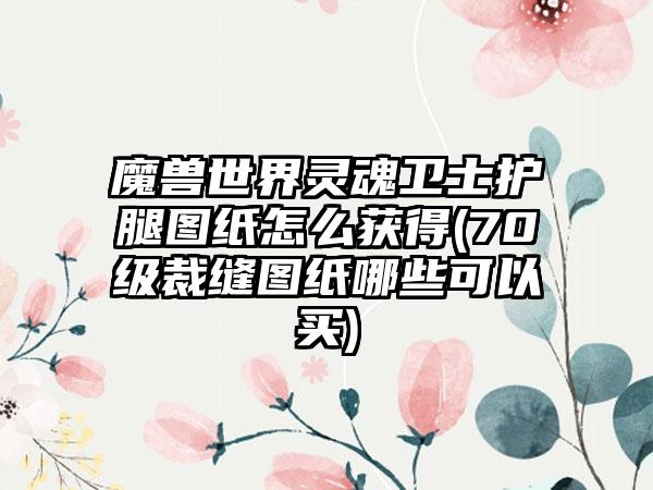 魔兽世界灵魂卫士护腿图纸怎么获得(70级裁缝图纸哪些可以买)