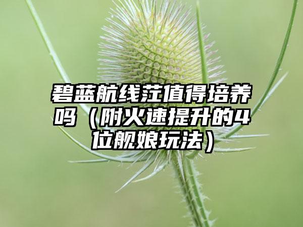 碧蓝航线茳值得培养吗（附火速提升的4位舰娘玩法）