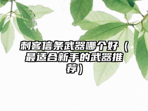 刺客信条武器哪个好（最适合新手的武器推荐）