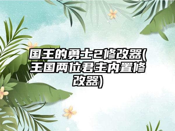 国王的勇士2修改器(王国两位君主内置修改器)