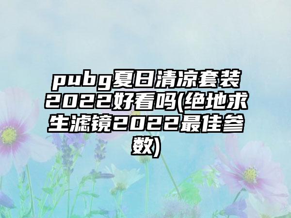 pubg夏日清凉套装2022好看吗(绝地求生滤镜2022最佳参数)