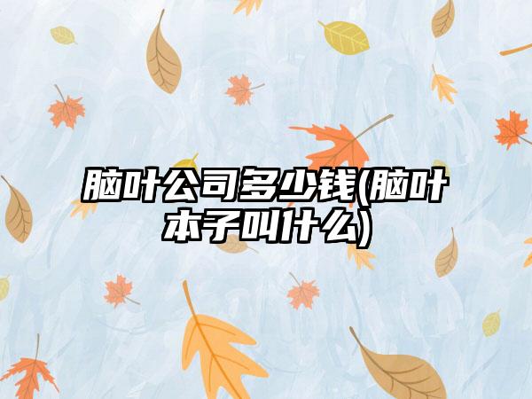 脑叶公司多少钱(脑叶本子叫什么)