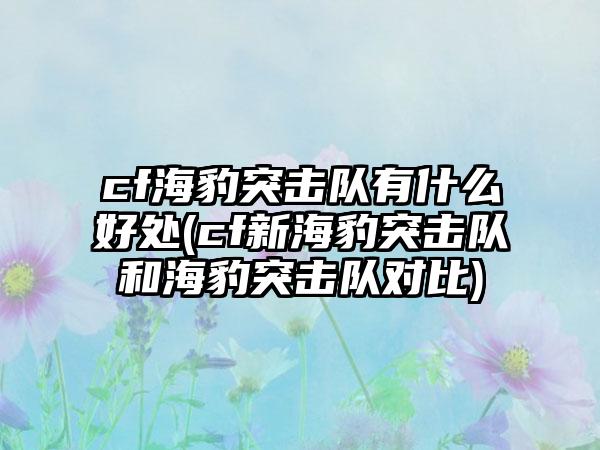 cf海豹突击队有什么好处(cf新海豹突击队和海豹突击队对比)