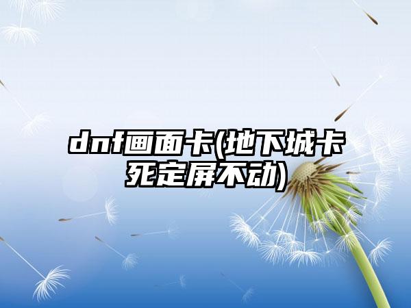 dnf画面卡(地下城卡死定屏不动)