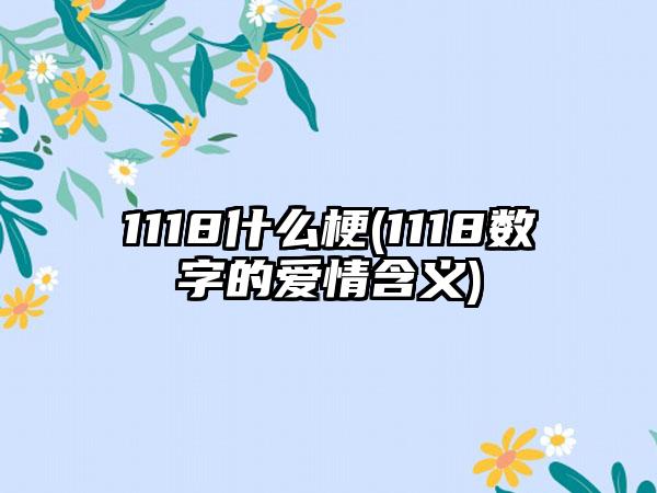 1118什么梗(1118数字的爱情含义)