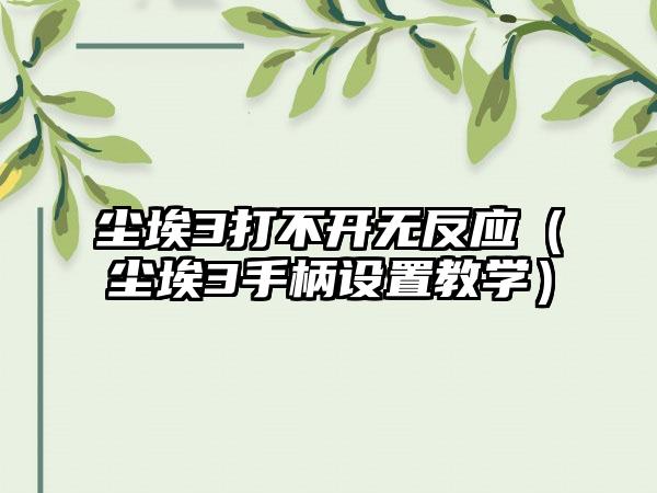 尘埃3打不开无反应（尘埃3手柄设置教学）